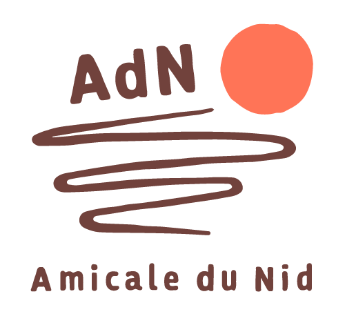 ADN31